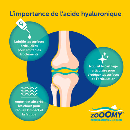 Zooomy – Mobilité articulaire – Chats