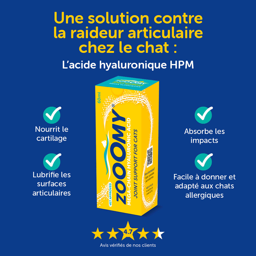 Zooomy – Mobilité articulaire – Chats
