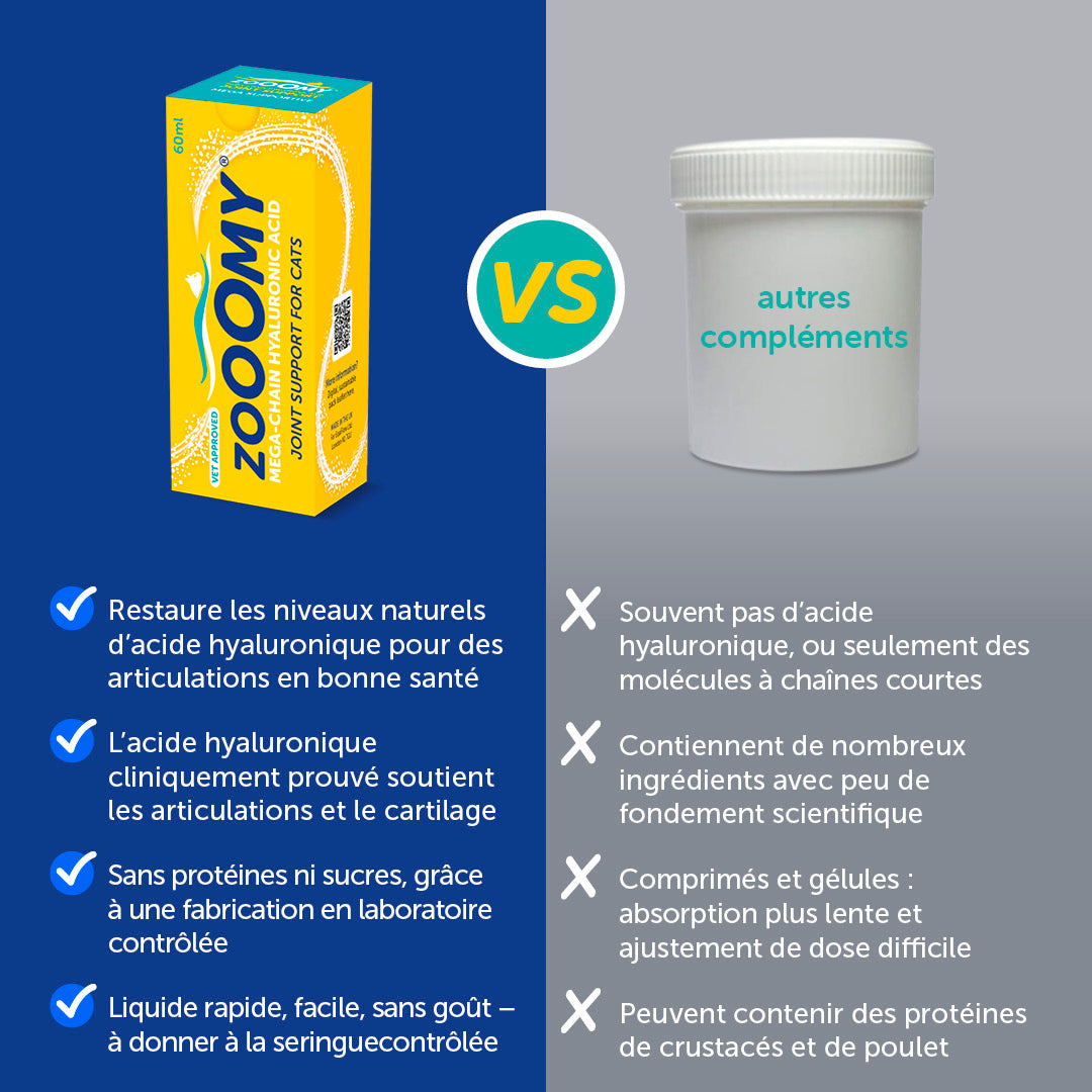 Zooomy – Mobilité articulaire – Chats