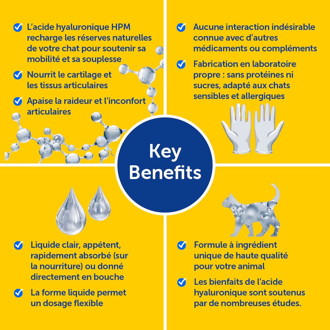 Zooomy – Mobilité articulaire – Chats