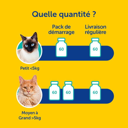 Zooomy – Mobilité articulaire – Chats